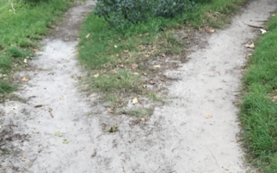 How to reinvent your career using Switch Thinking