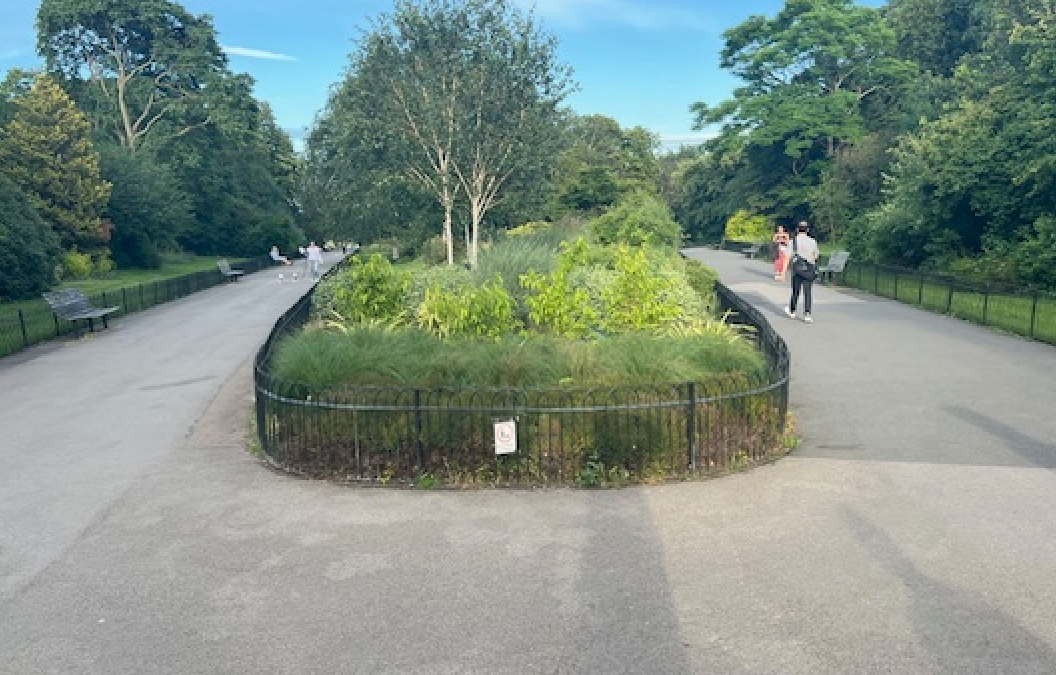 Why it’s so hard to Switch your Thinking