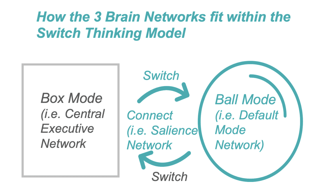 The 3 Brain Networks and Switch Thinking