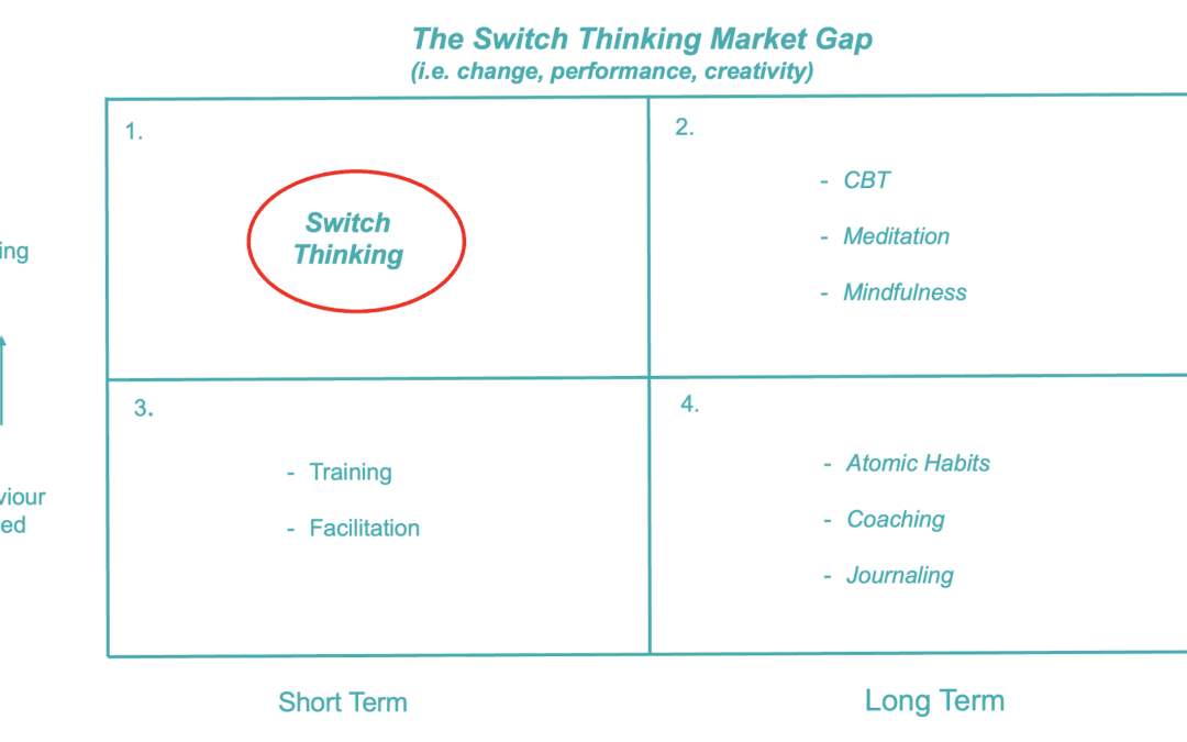 What is the market gap that Switch Thinking fills?