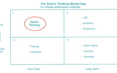 What is the market gap that Switch Thinking fills?
