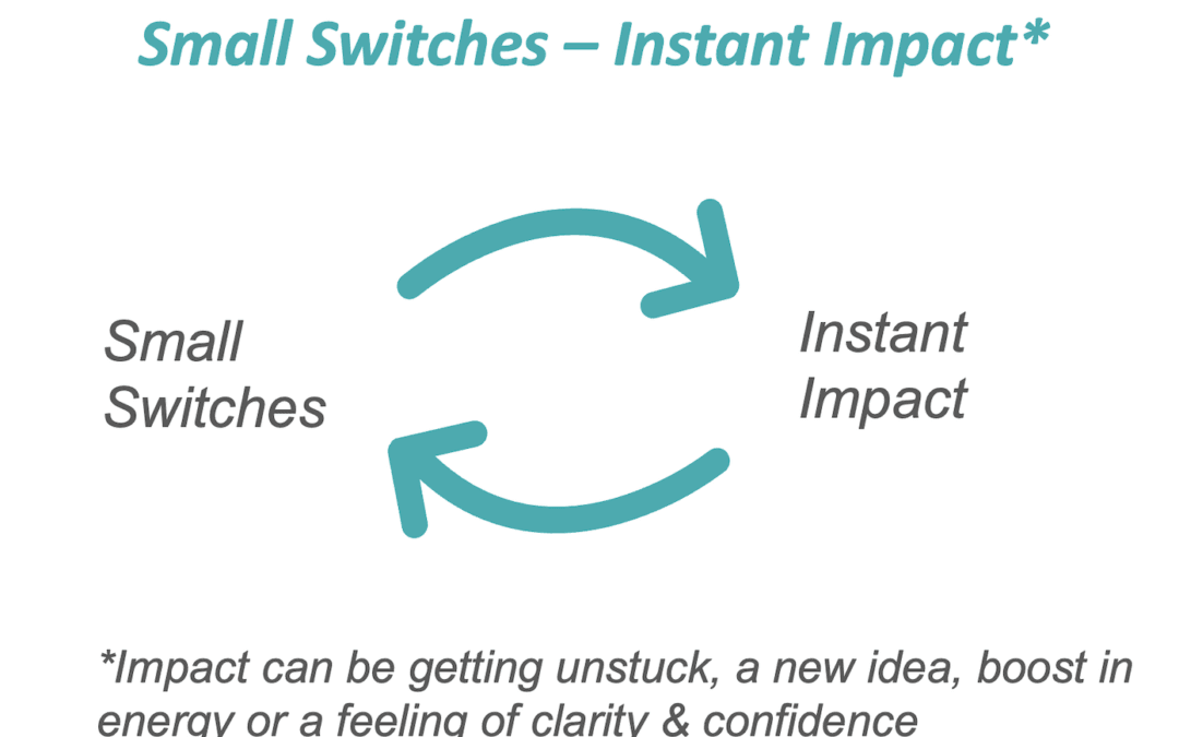Small Switches – Instant Impact